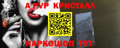 мет Кингисепп