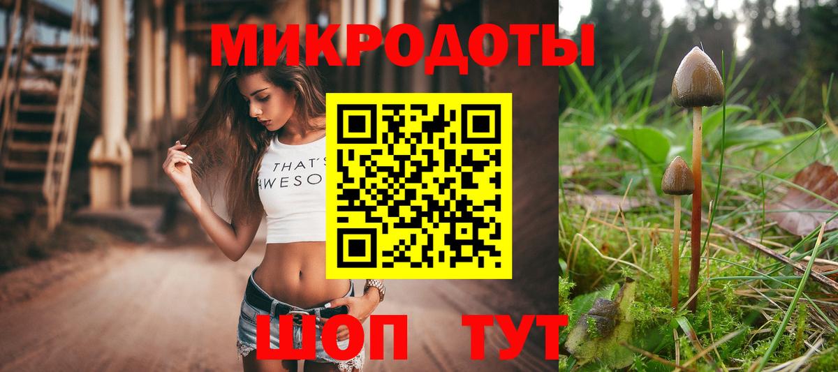 Псилоцибиновые грибы Psilocybine cubensis Каменка