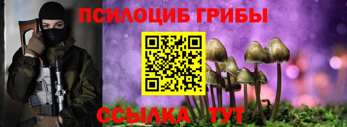 цены наркотик  Галлюциногенные грибы ЛСД  Каменка  Вход с VPN  Псилоцибиновые грибы Magic Shrooms 